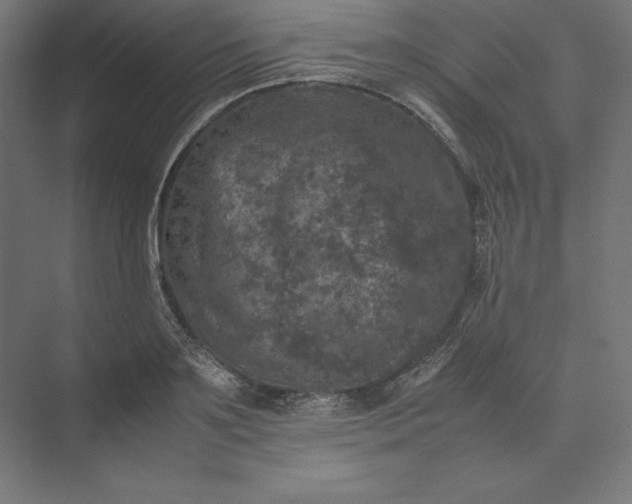 X0000074030891200609061139