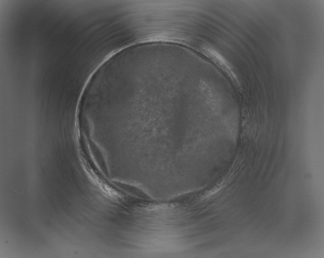 X0000074030892200609061139