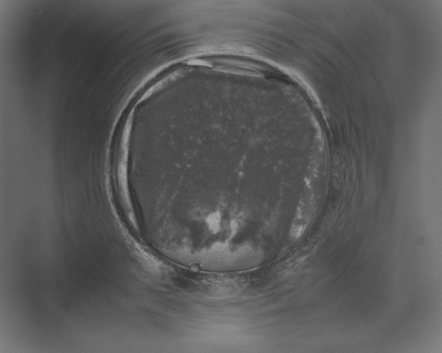 X0000074030895200609061138