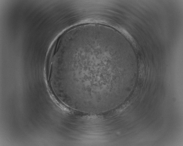 X0000074030896200609061138