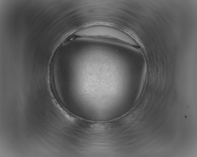 X0000074030898200609061138