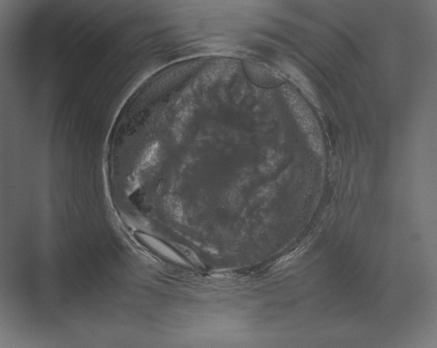 X0000074030899200609061138