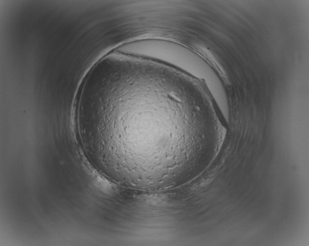 X0000074030900200609061138