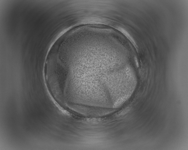 X0000074030901200609061138