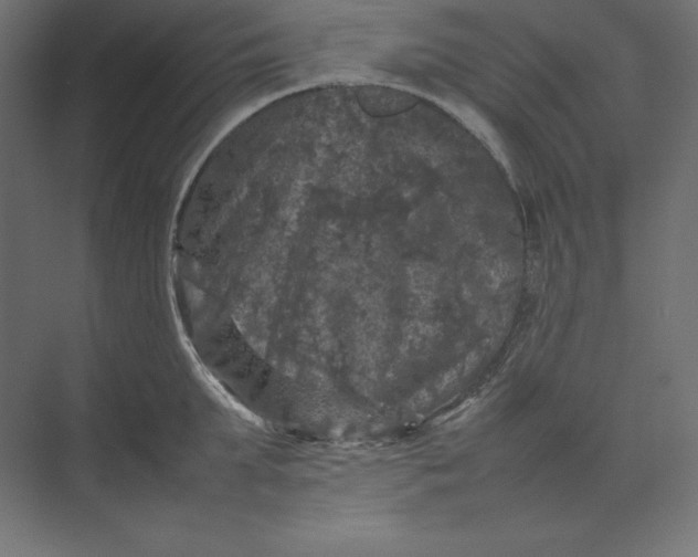 X0000074030903200609061138