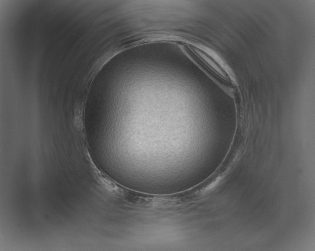 X0000074030905200609061138