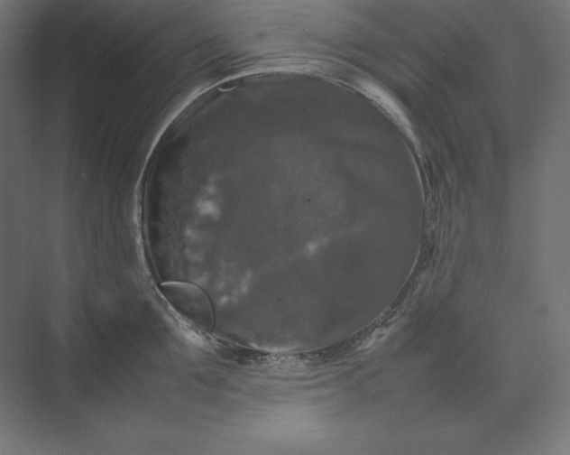 X0000074030907200609061138