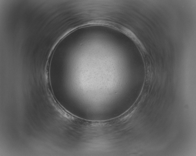 X0000074030908200609061138