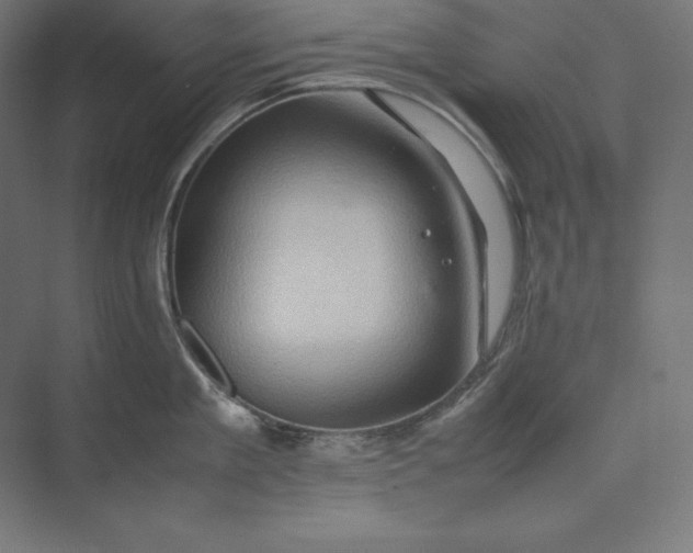 X0000074030909200609061138