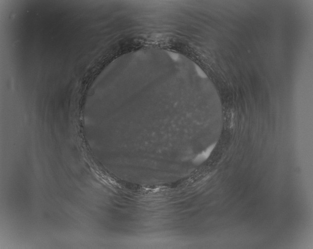 X0000074030913200609061137