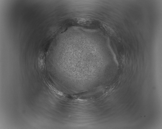 X0000074030914200609061137