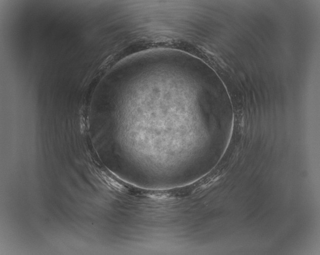 X0000074030916200609061137