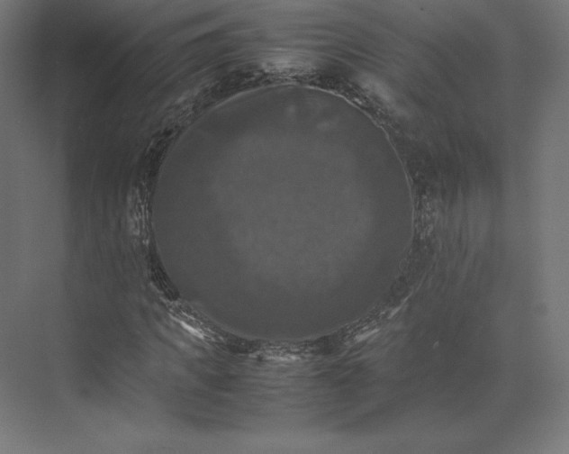 X0000074030917200609061137