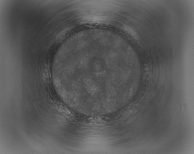 X0000074030918200609061137