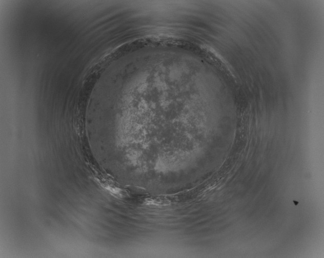 X0000074030919200609061137