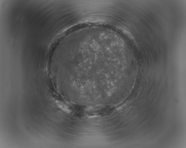 X0000074030920200609061137