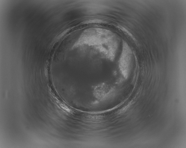 X0000074030921200609061138