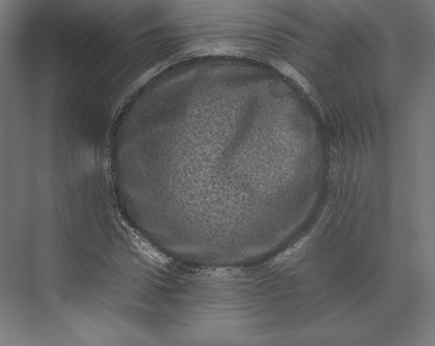 X0000074030922200609061138