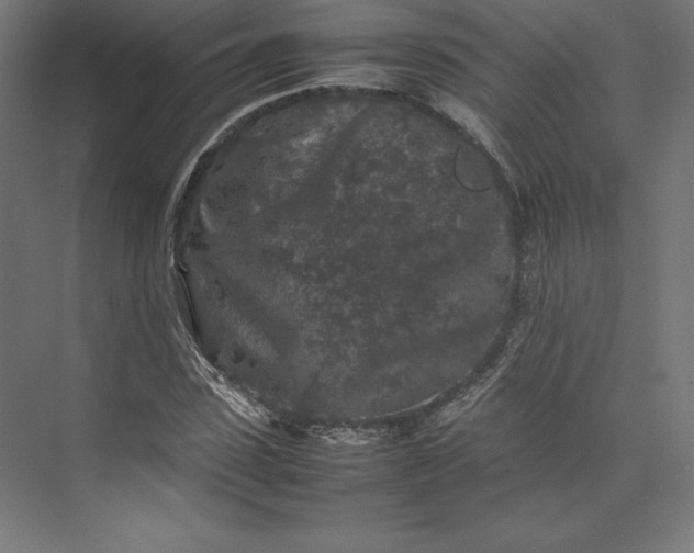 X0000074030923200609061138