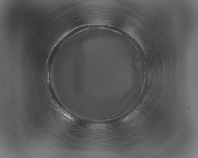 X0000074030925200609061138