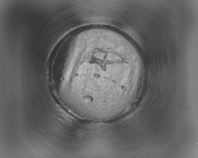 X0000074030926200609061138