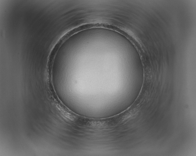 X0000074030927200609061138