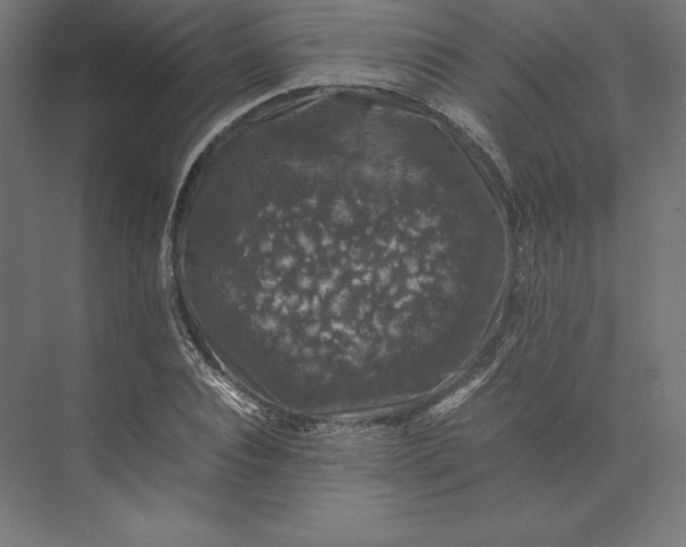 X0000074030928200609061138