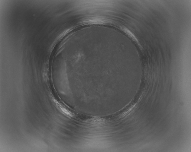 X0000074030930200609061138