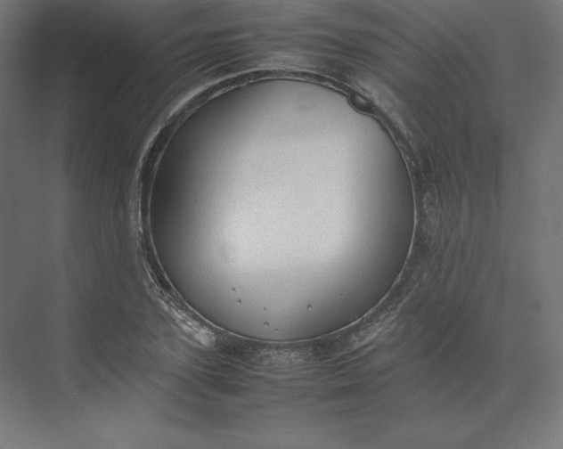 X0000074030931200609061138