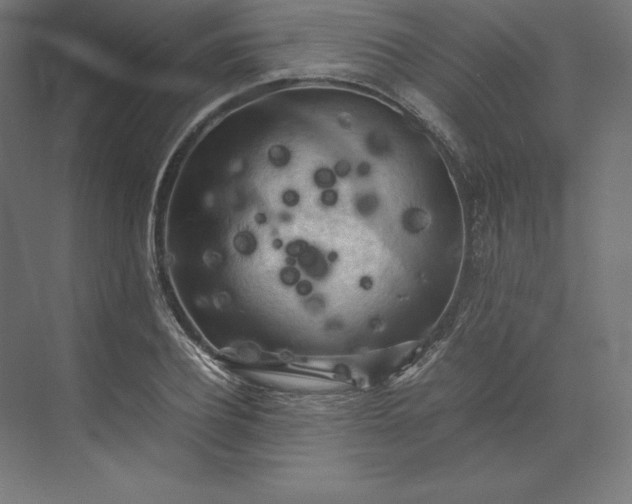 X0000074030932200609061138