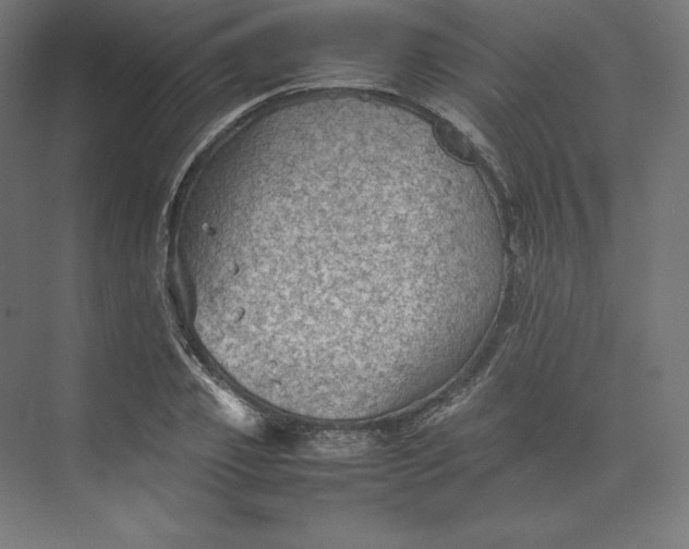 X0000074030933200609061138