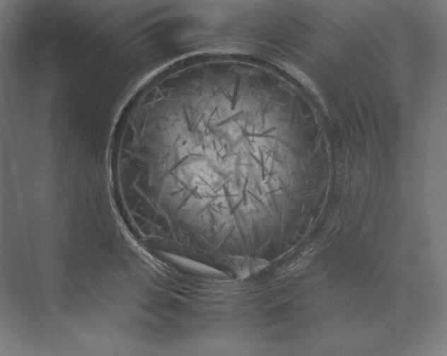 X0000074030935200609061138