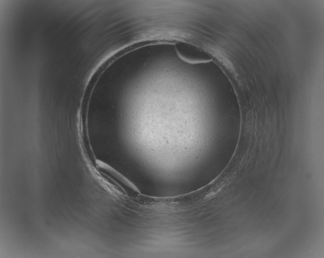 X0000074030936200609061138