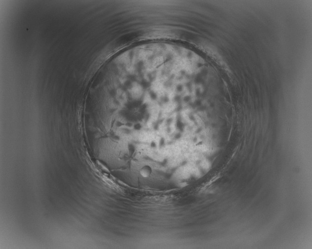 X0000074030937200609061138