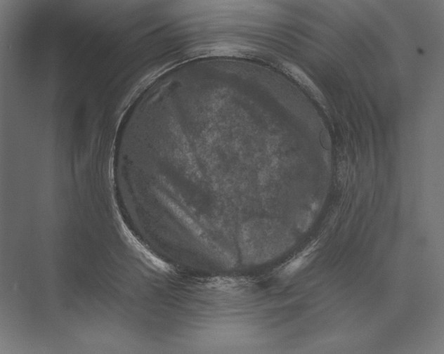 X0000074030938200609061138