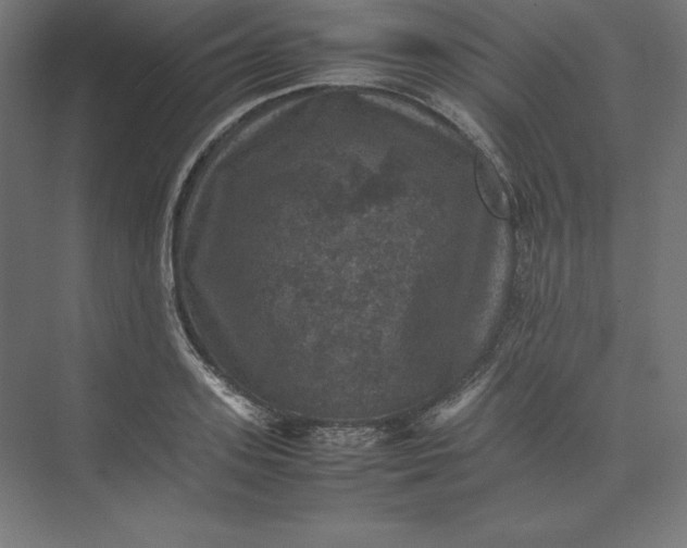 X0000074030939200609061138