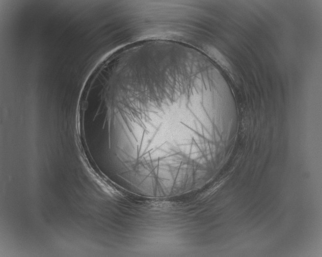 X0000074030940200609061138