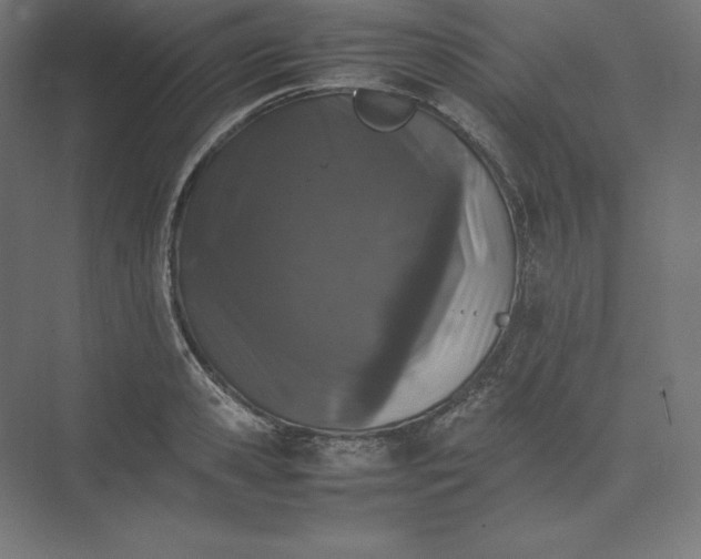 X0000074030941200609061138