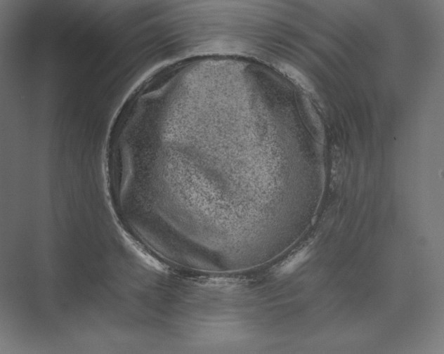 X0000074030942200609061138