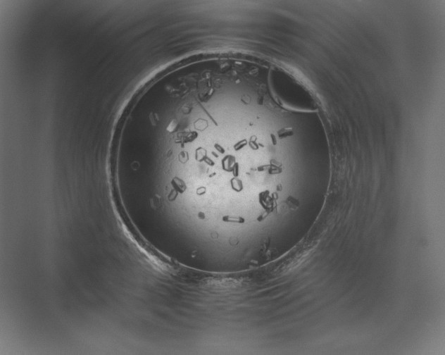 X0000074030943200609061138