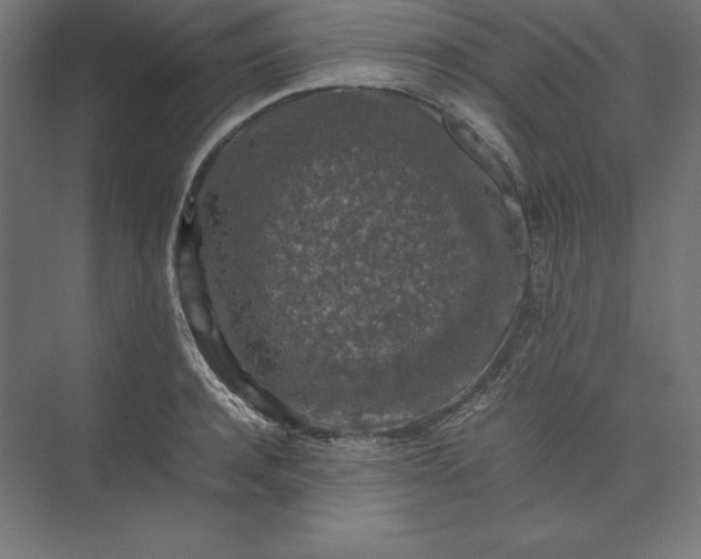 X0000074030944200609061138