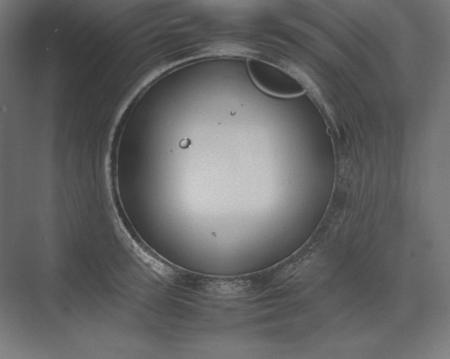 X0000074030947200609061138