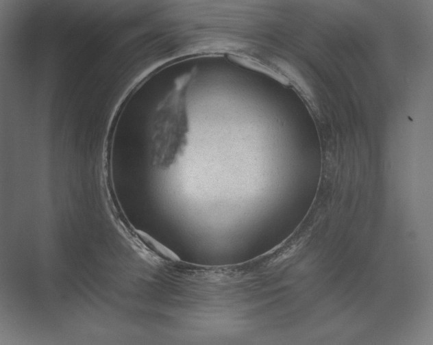 X0000074030948200609061138