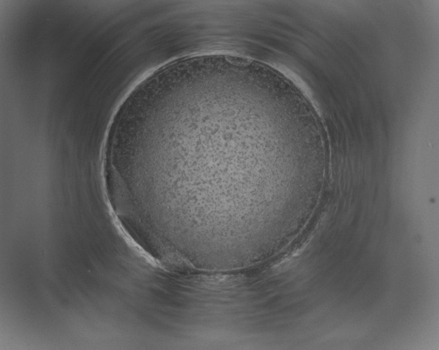 X0000074030949200609061138