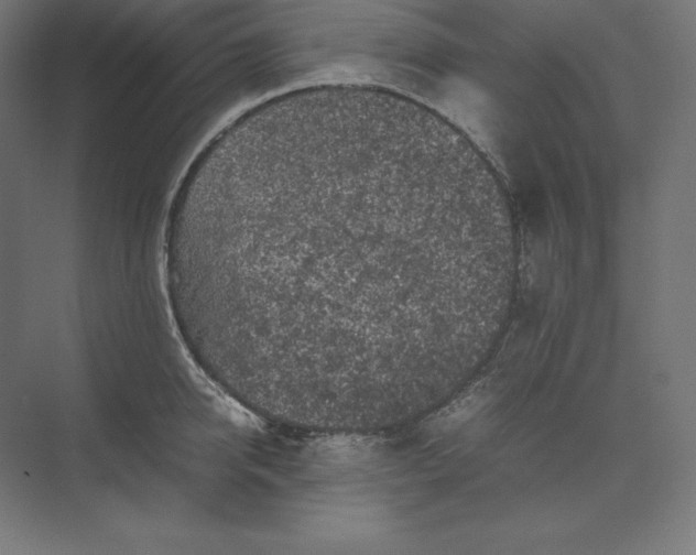 X0000074030950200609061138