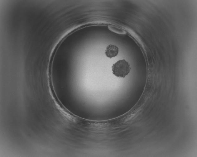 X0000074030951200609061138