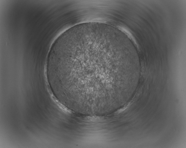 X0000074030952200609061138