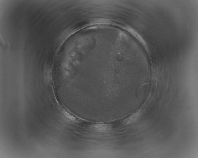 X0000074030953200609061138