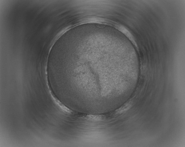 X0000074030954200609061138