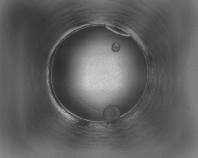 X0000074030955200609061138